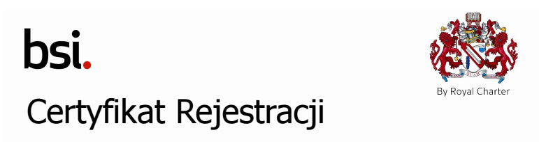 logo bsi